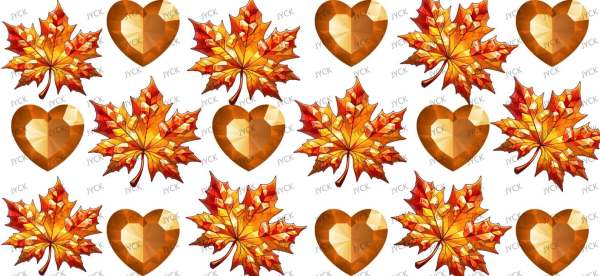 Y24584