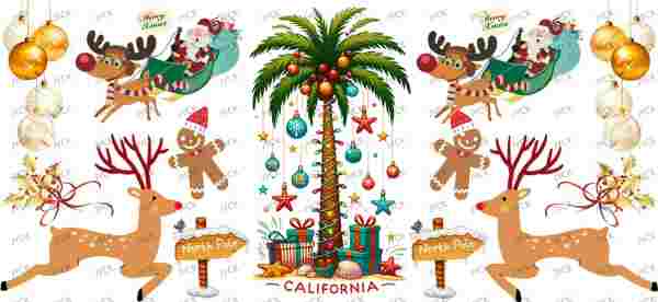Y16141