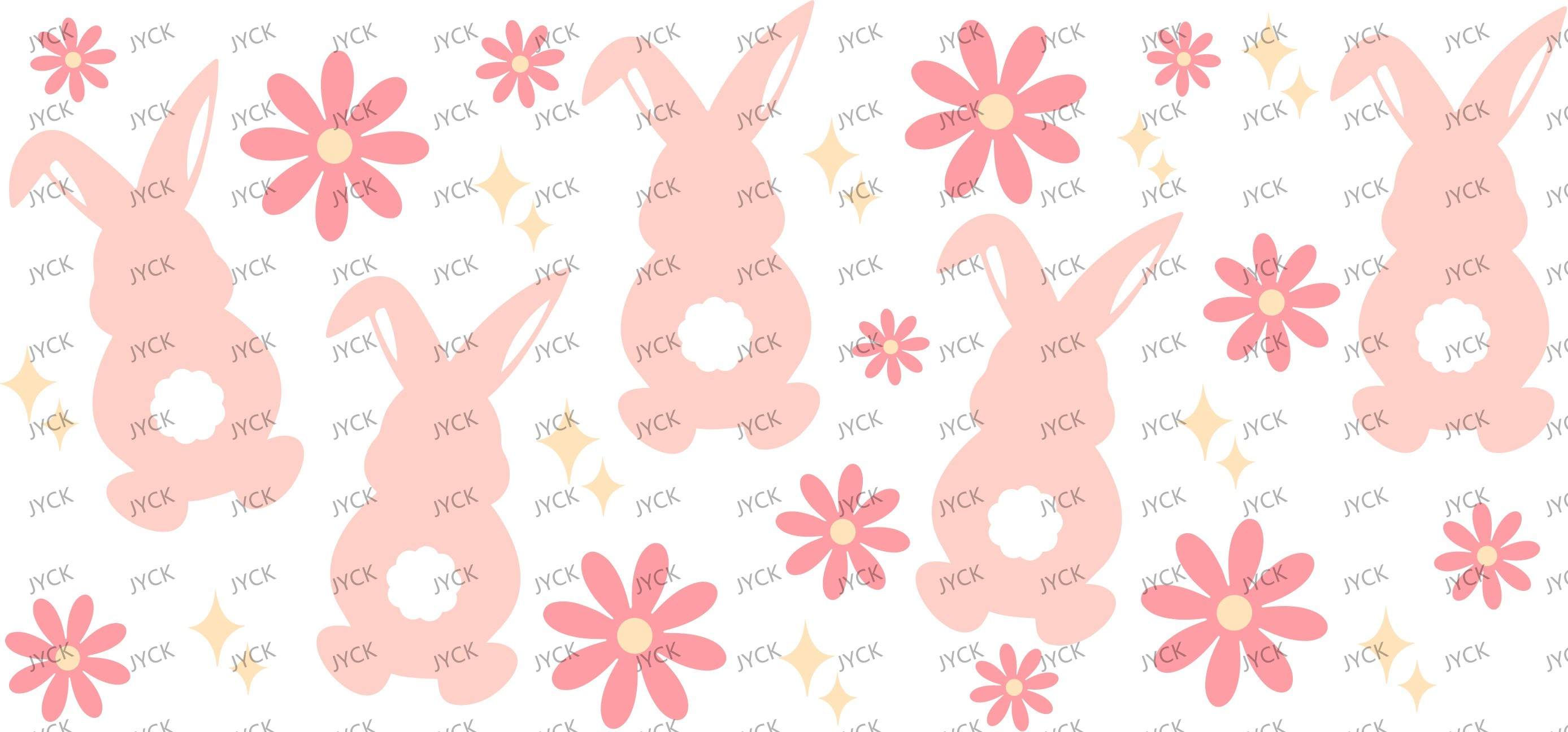 Y6648
