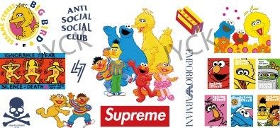 Y13891