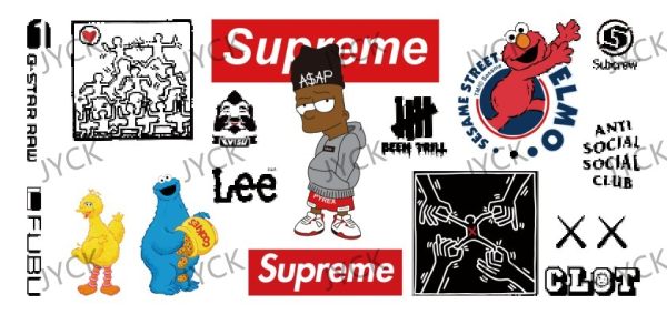 Y13895