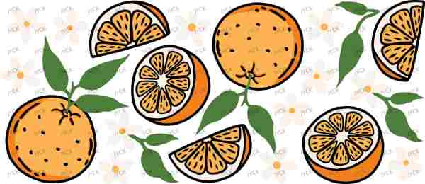H1-7727