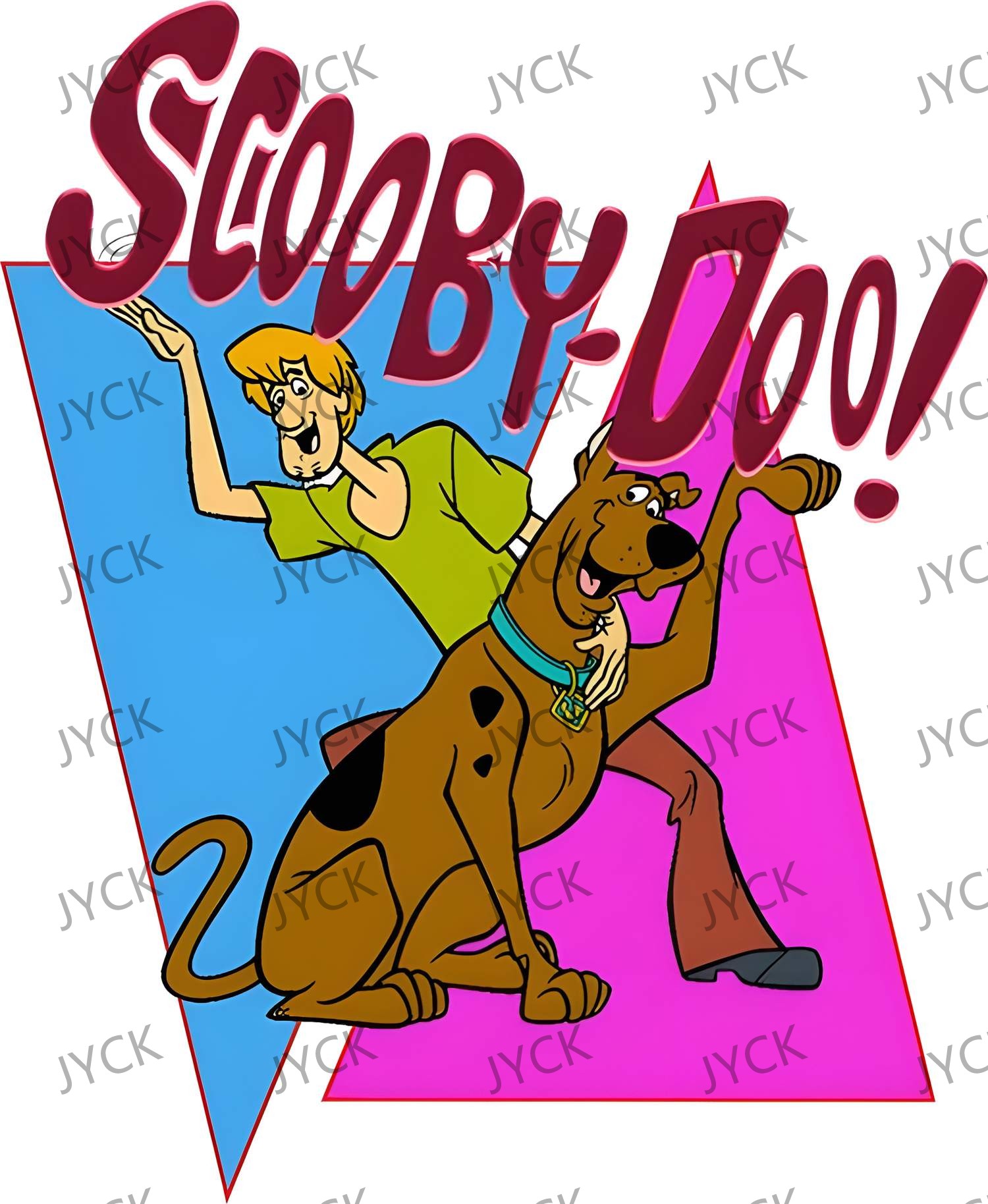 V50171