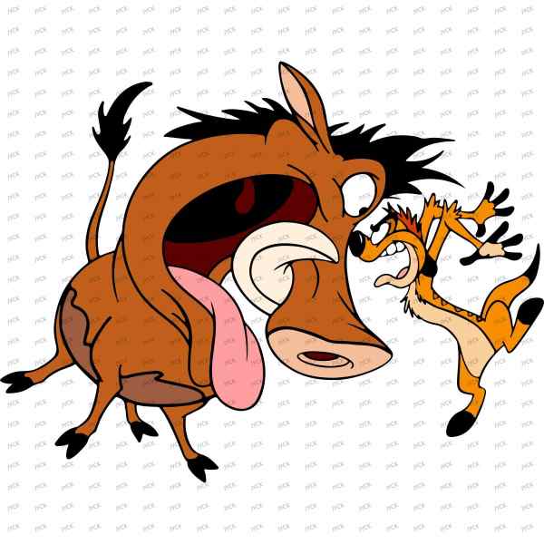 T21161