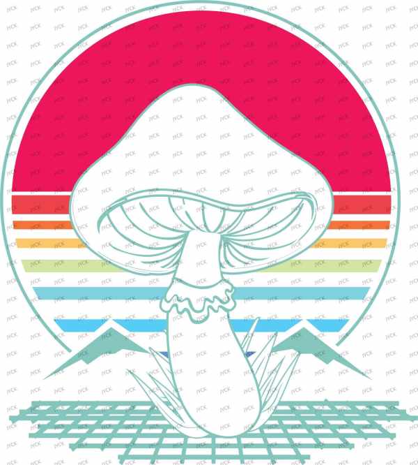 T34348