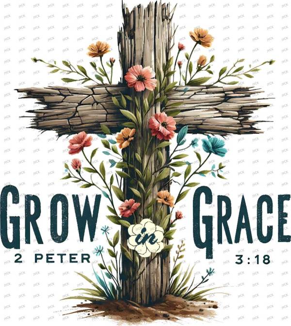 T35606