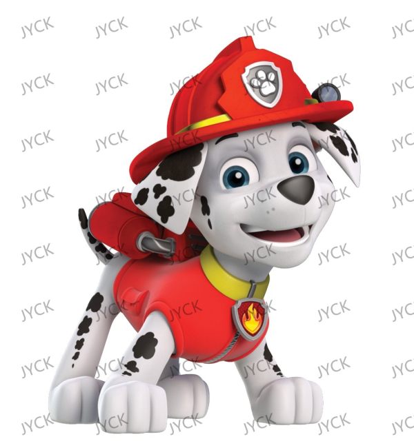 T48882