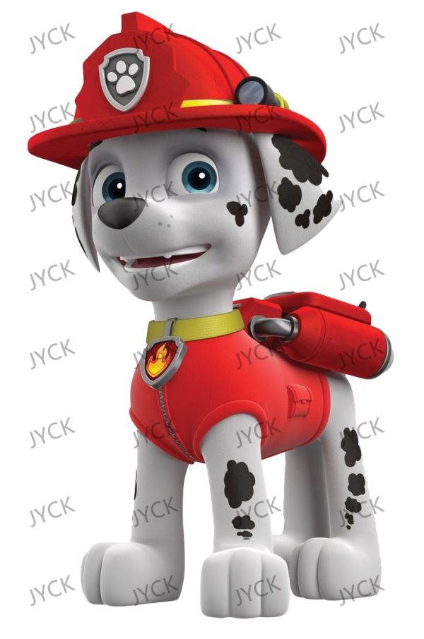 T48889
