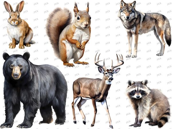 R013