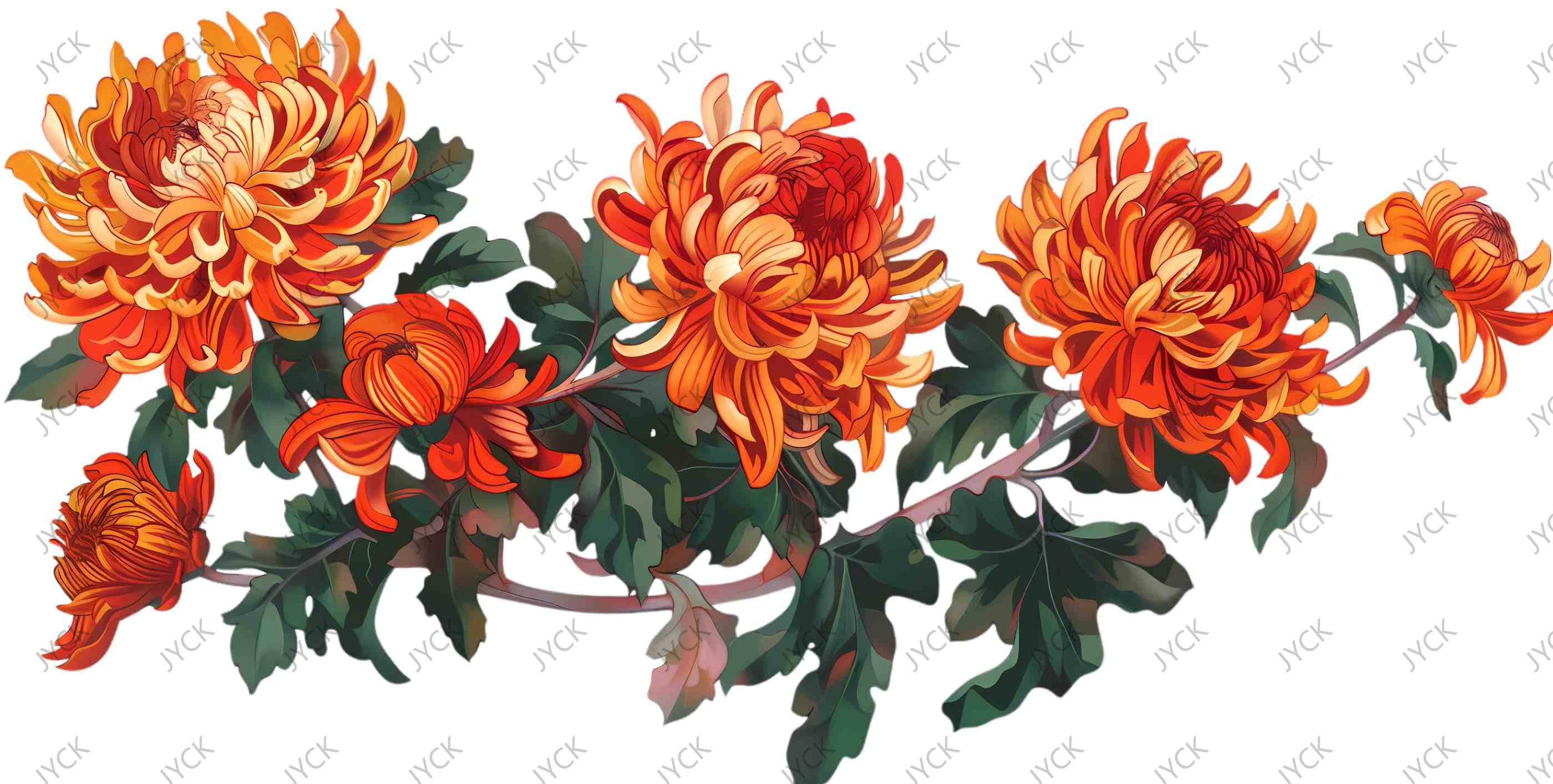H2-0636