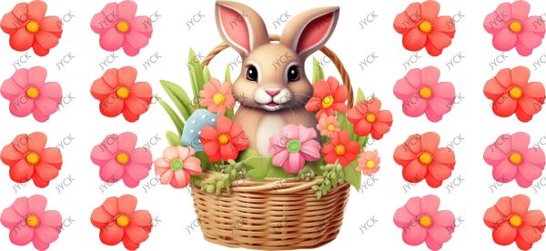 H4-5646
