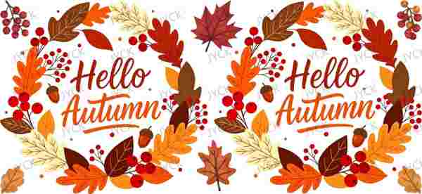 H6-5253