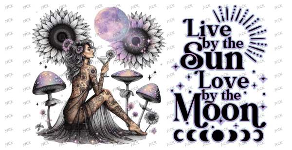 Y11849